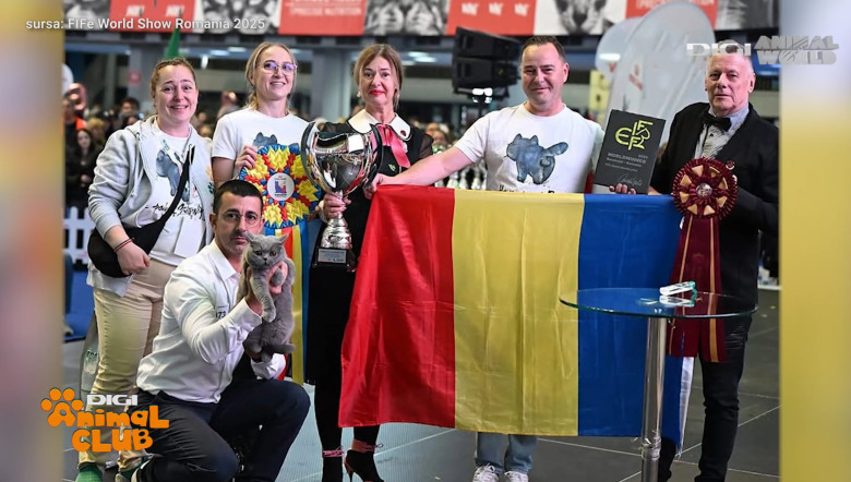 DAC KIRA CAMPIOANA 7