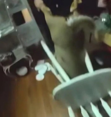 Panică într-un magazin de Crăciun. Un cerb a făcut ravagii printre rafturi și a rămas blocat într-un scaun/ Foto: Captură video