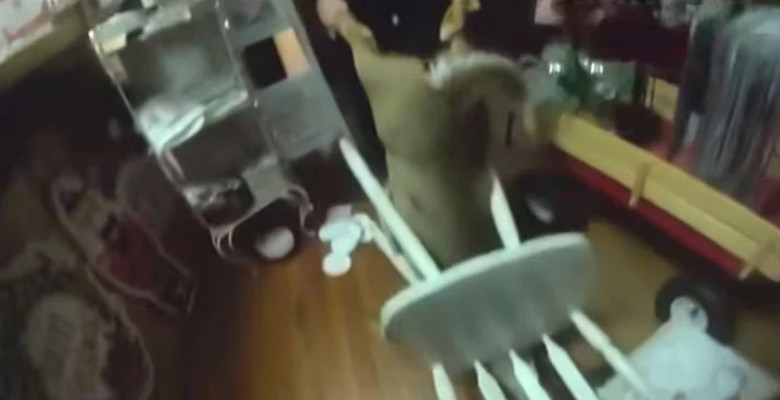 Panică într-un magazin de Crăciun. Un cerb a făcut ravagii printre rafturi și a rămas blocat într-un scaun/ Foto: Captură video