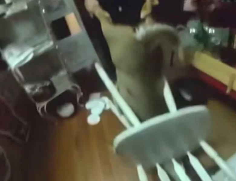 Panică într-un magazin de Crăciun. Un cerb a făcut ravagii printre rafturi și a rămas blocat într-un scaun/ Foto: Captură video