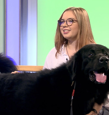 DAC CIOBANESC CORB BEATRICE IRIMIA 11