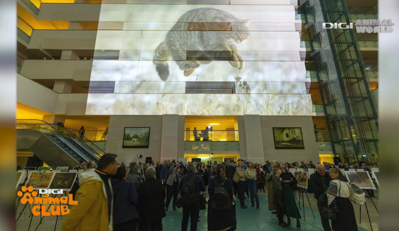 DAC FOTOGEOGRAFICA 2