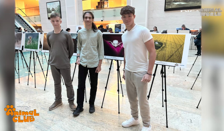 DAC FOTOGEOGRAFICA 7