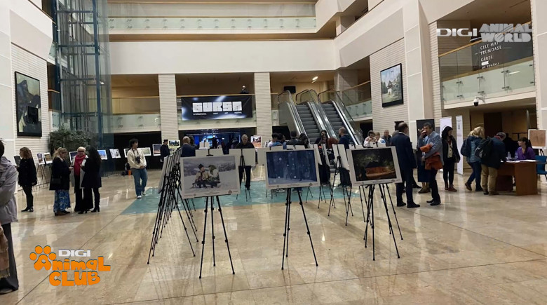 DAC FOTOGEOGRAFICA 17