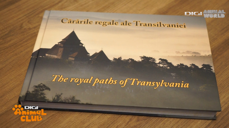 DAC FOTOGEOGRAFICA 15