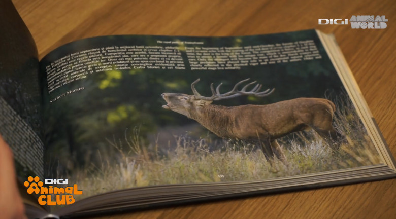 DAC FOTOGEOGRAFICA 16