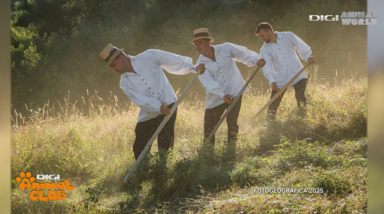 DAC FOTOGEOGRAFICA 19