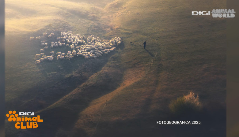 DAC FOTOGEOGRAFICA 21