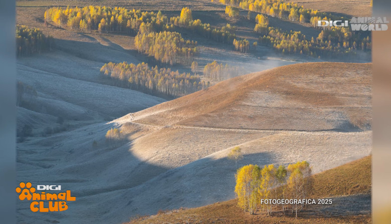 DAC FOTOGEOGRAFICA 24