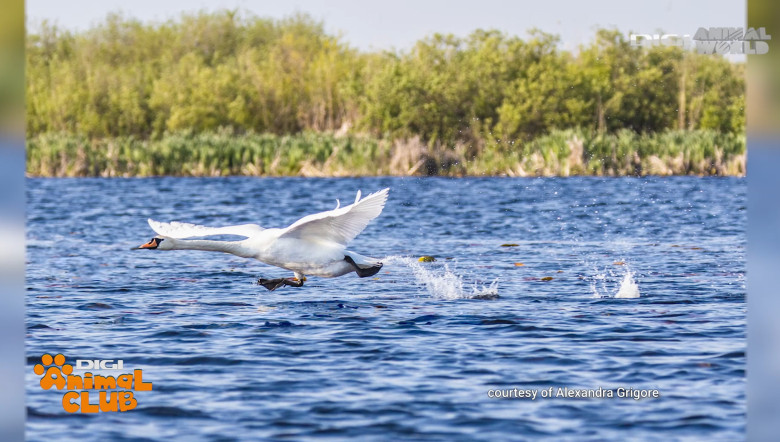 DAC FOTOGEOGRAFICA 25