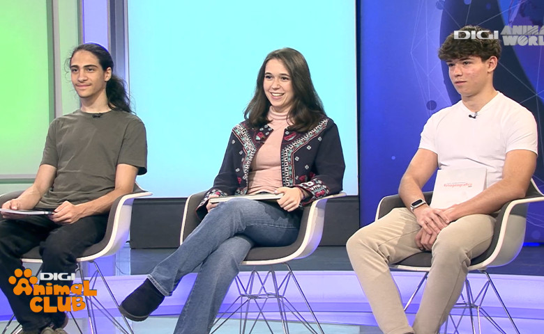 DAC FOTOGEOGRAFICA 26