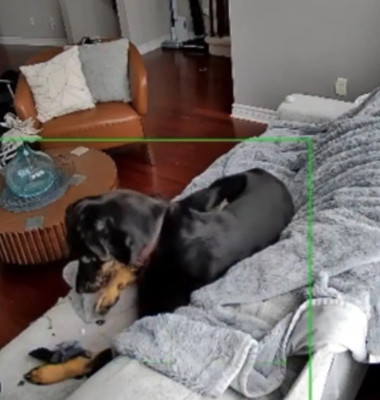 Momentul când un câine declanșează un incendiu/ Foto: X