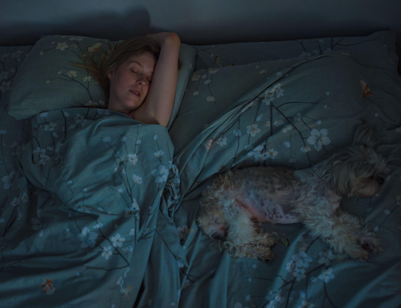 A crezut că își mângâie câinele, dar a descoperit altceva în pat/ Profimedia