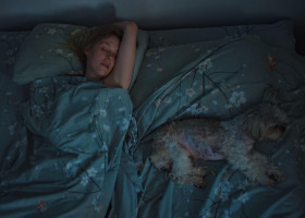 A crezut că își mângâie câinele, dar a descoperit altceva în pat/ Profimedia