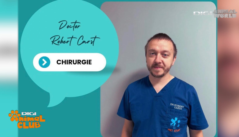 DAC DR. CARST CHIRURG VETERINAR 9
