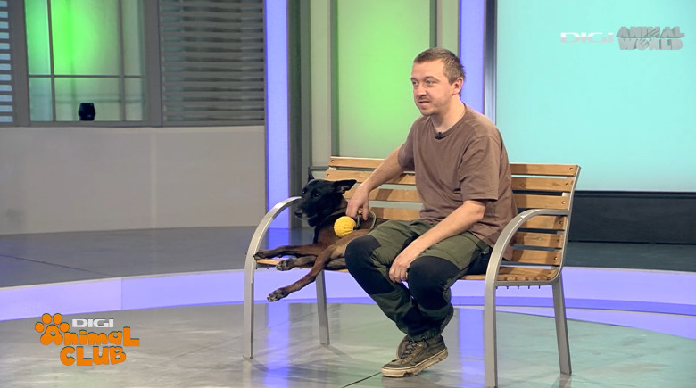 DAC DR. CARST CHIRURG VETERINAR 8