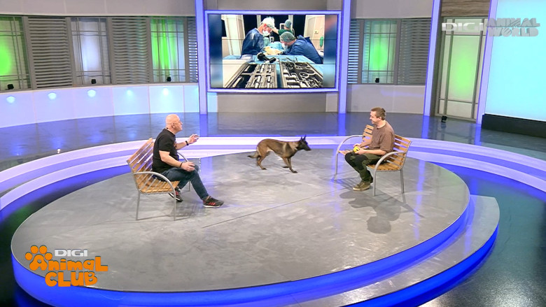 DAC DR. CARST CHIRURG VETERINAR 6