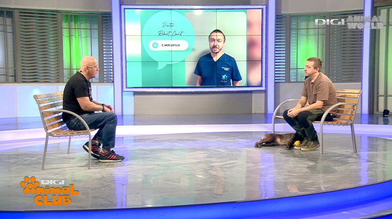 DAC DR. CARST CHIRURG VETERINAR 2