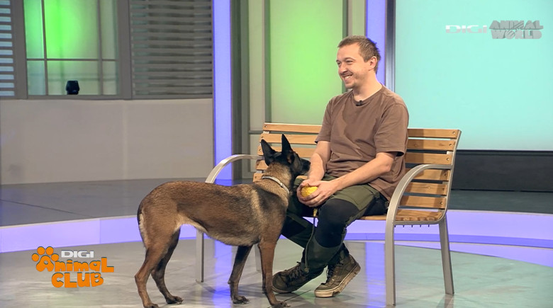 DAC DR. CARST CHIRURG VETERINAR 1