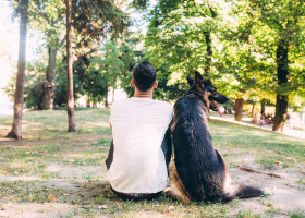 Cele 5 tipologii de oameni care nu ar trebui sub nicio formă să aibă un câine/ Profimedia