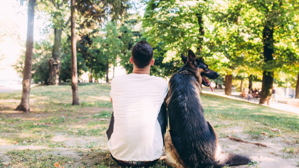 Cele 5 tipologii de oameni care nu ar trebui sub nicio formă să aibă un câine. Stilul lor de viață îi pot afecta viața patrupedului