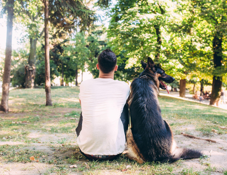 Cele 5 tipologii de oameni care nu ar trebui sub nicio formă să aibă un câine/ Profimedia