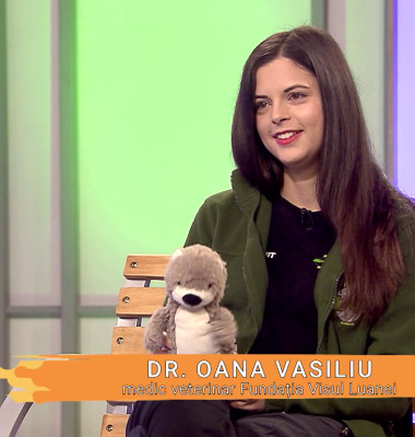 Visul Luanei Oana Vasiliu Digi Animal Club (1)