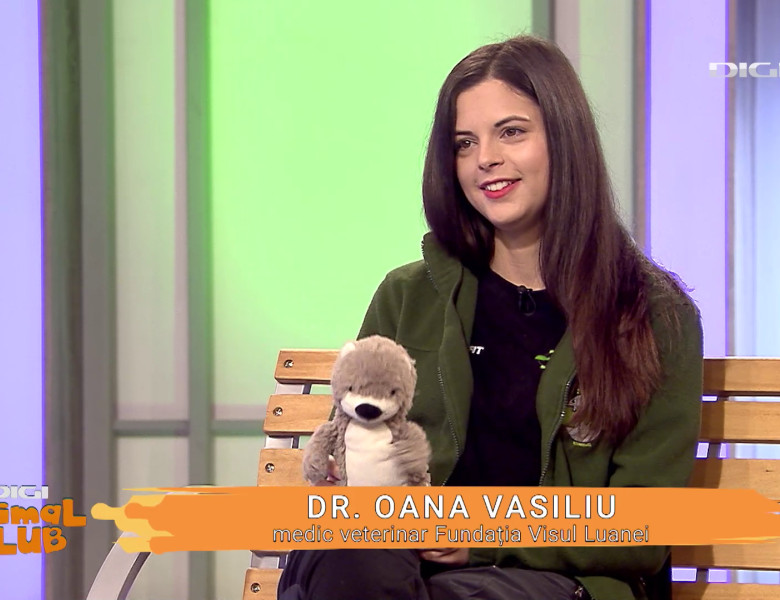 Visul Luanei Oana Vasiliu Digi Animal Club (1)
