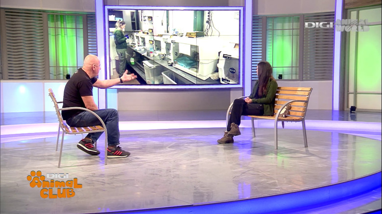 Visul Luanei Oana Vasiliu Digi Animal Club (14)