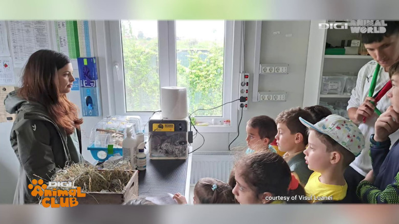 Visul Luanei Oana Vasiliu Digi Animal Club (13)