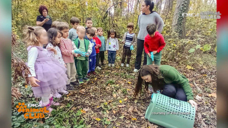 Visul Luanei Oana Vasiliu Digi Animal Club (19)