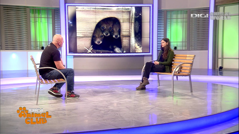 Visul Luanei Oana Vasiliu Digi Animal Club (21)