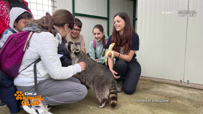 Visul Luanei Oana Vasiliu Digi Animal Club (22)