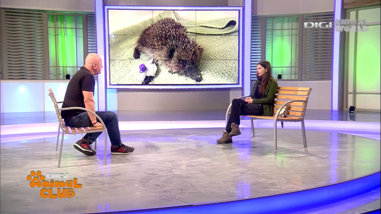 Visul Luanei Oana Vasiliu Digi Animal Club (23)