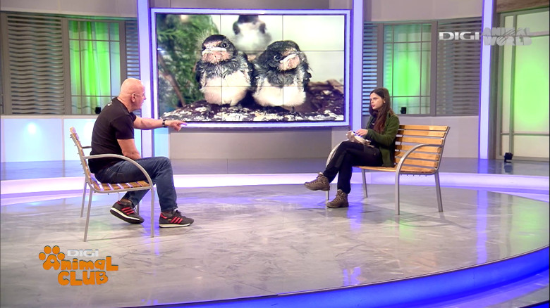 Visul Luanei Oana Vasiliu Digi Animal Club (26)