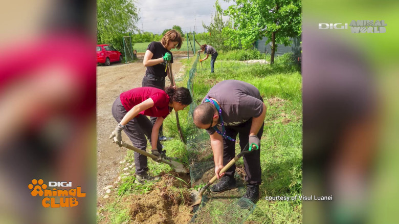 Visul Luanei Oana Vasiliu Digi Animal Club (29)