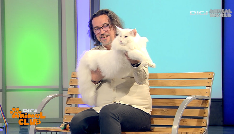 DIGI ANIMAL CLUB AURELIAN IONESCU NORVEGIENE 1