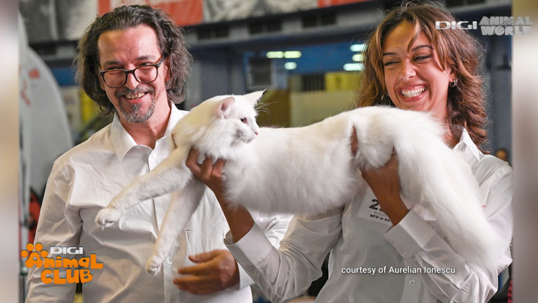 DIGI ANIMAL CLUB AURELIAN IONESCU NORVEGIENE 4