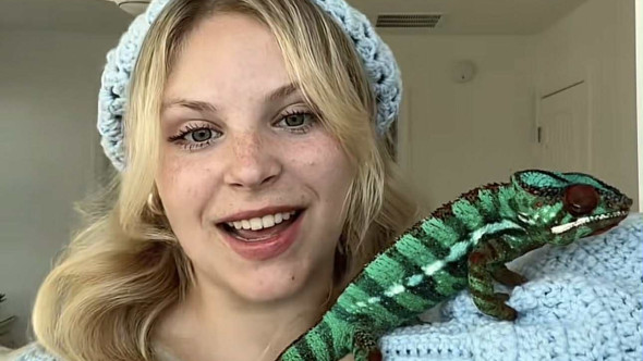 A adoptat un cameleon și și-a schimbat complet viața. Ce sacrificii a fost nevoită să facă zilnic