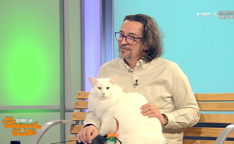 DIGI ANIMAL CLUB AURELIAN IONESCU NORVEGIENE 9