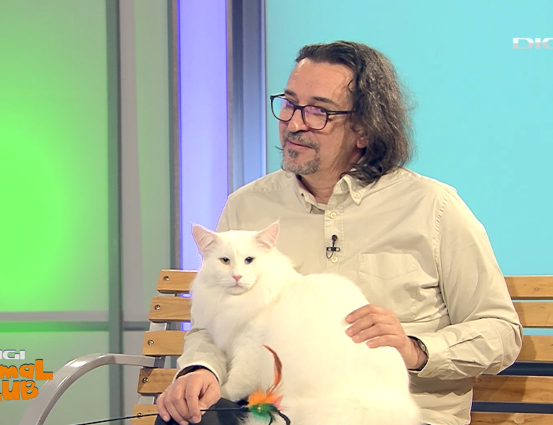 DIGI ANIMAL CLUB AURELIAN IONESCU NORVEGIENE 9