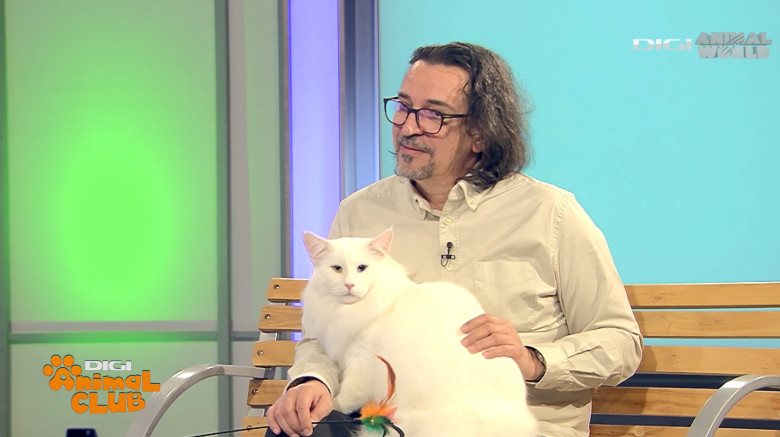 DIGI ANIMAL CLUB AURELIAN IONESCU NORVEGIENE 9