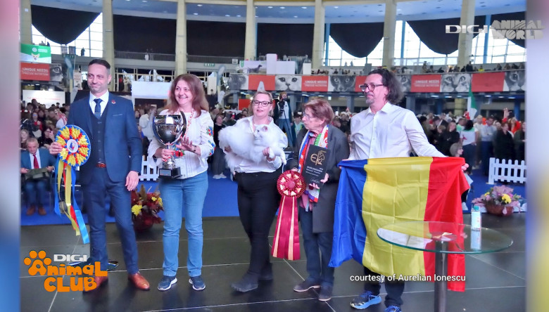 DIGI ANIMAL CLUB AURELIAN IONESCU NORVEGIENE 14