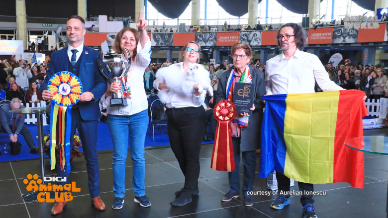 DIGI ANIMAL CLUB AURELIAN IONESCU NORVEGIENE