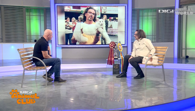 DIGI ANIMAL CLUB AURELIAN IONESCU NORVEGIENE 20