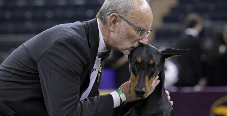 NY: Doberman Pinscher 'Penny' Wins Best In Show At 150th Annual Westminster Kennel Club Dog Show