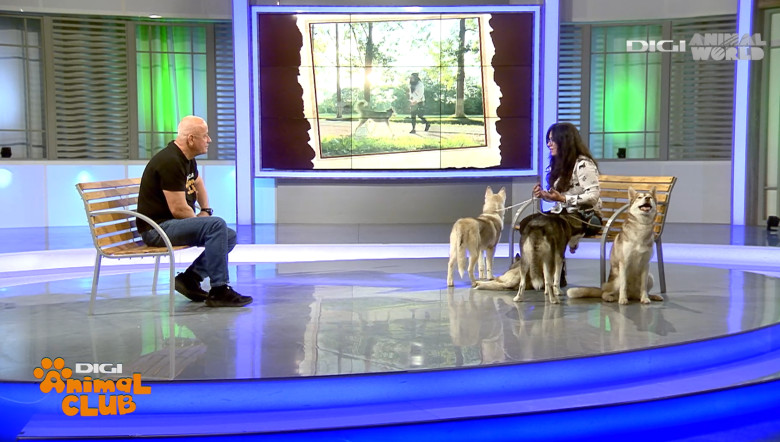 Digi Animal Club HUSKY Sabrina Camarda 3