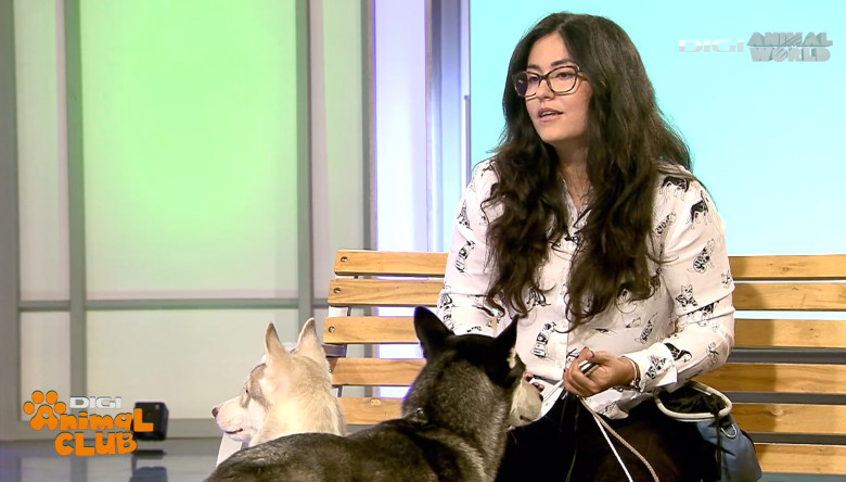 Digi Animal Club HUSKY Sabrina Camarda 11