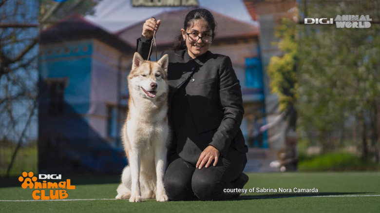 Digi Animal Club HUSKY Sabrina Camarda 8
