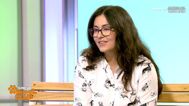 Digi Animal Club HUSKY Sabrina Camarda 13